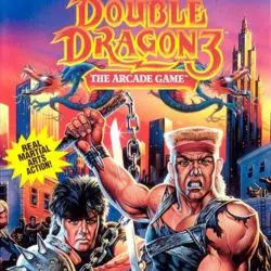 Double Dragon MS